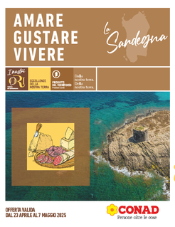 LOCALISMO SPAZIO - SUPERSTORE - CONAD - CITY SARDEGNA