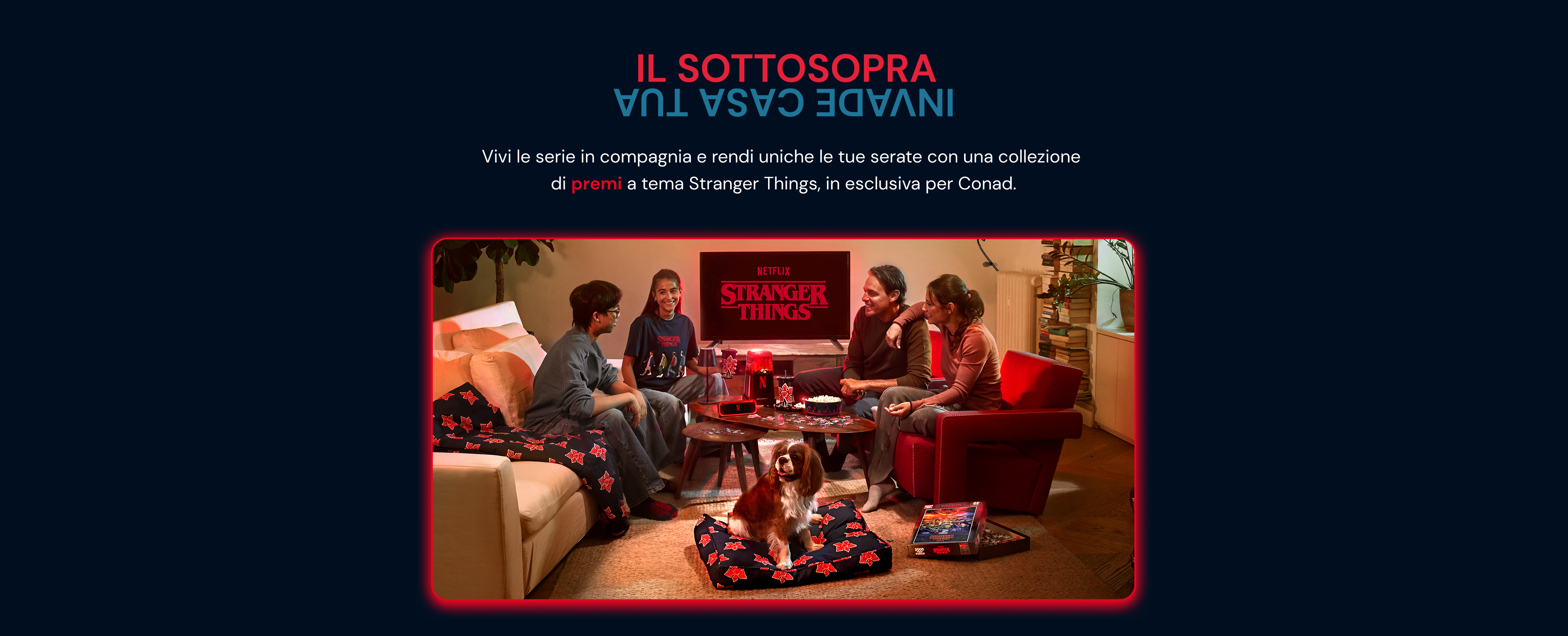 www.conad.it