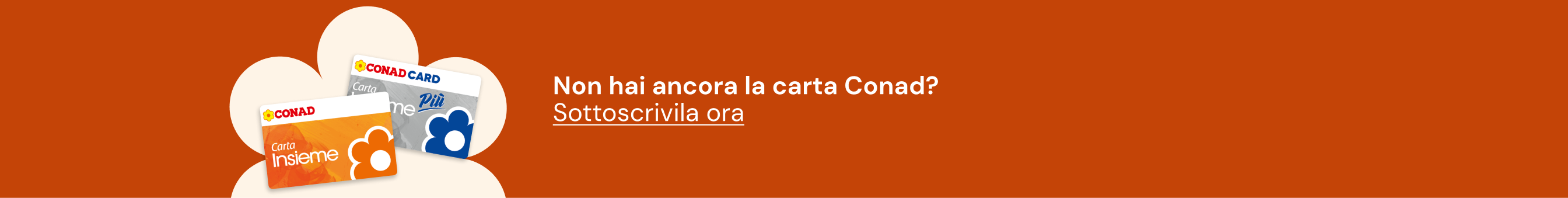 www.conad.it