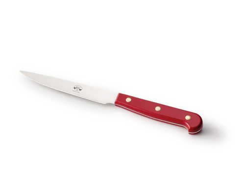 COLTELLO "BISTECCA 1000"