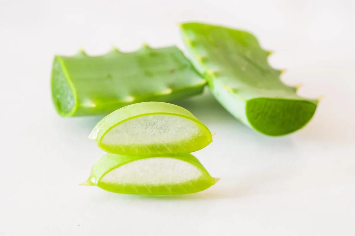 Aloe-vera-Garcinia-e-Te-verde-gli-alleati-della-tua-linea