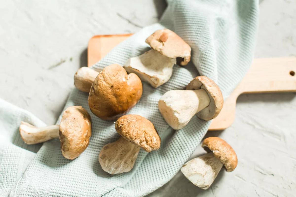 funghi-porcini-surgelati-sapori-e-idee​