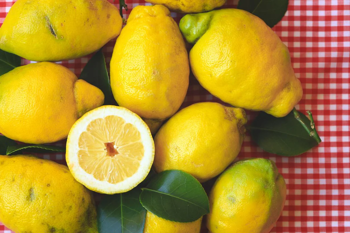 limoni-sapori-e-dintorni