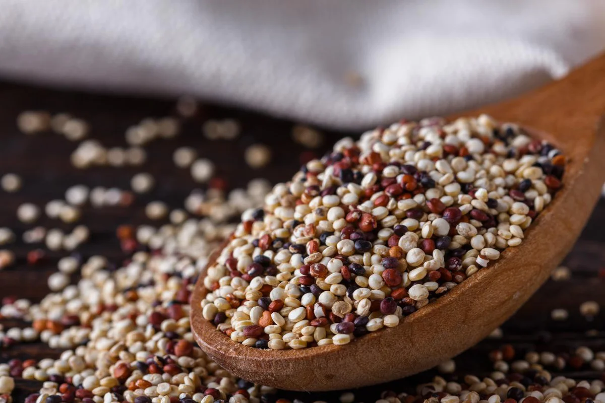 quinoa