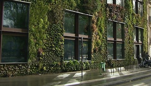 Soluzioni-in-case-piccole-i-giardini-verticali-image