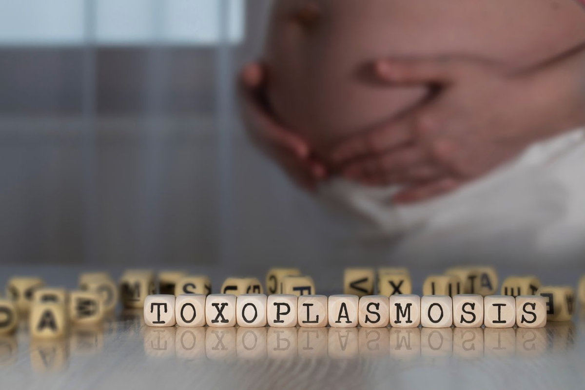 toxoplasmosi-in-gravidanza-image