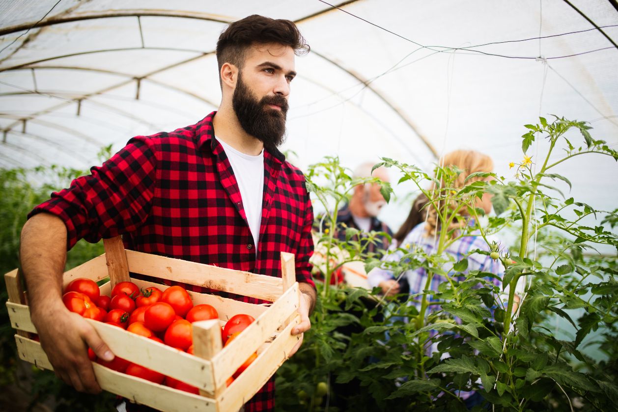 vendita-prodotti-agricoli-image