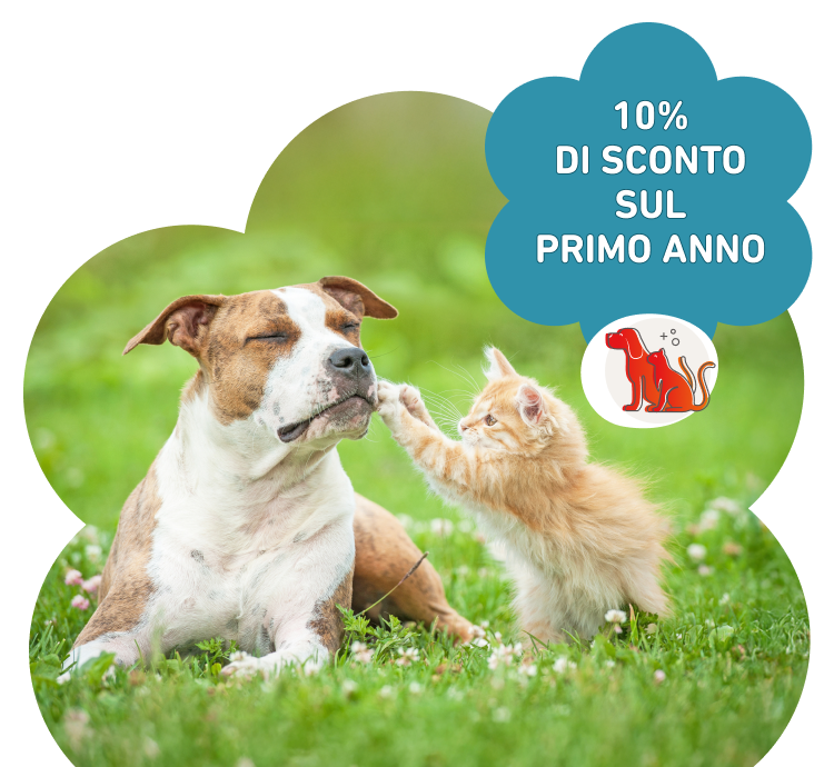 polizza pet