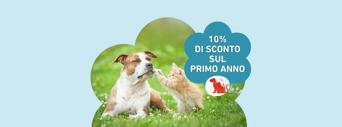 www.conad.it