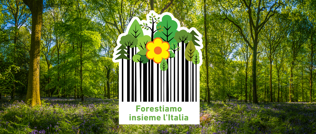 www.conad.it
