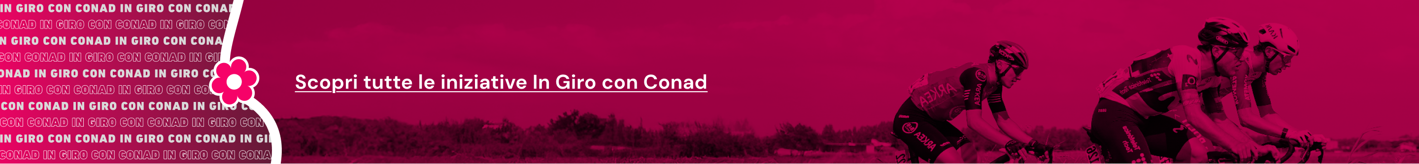 www.conad.it