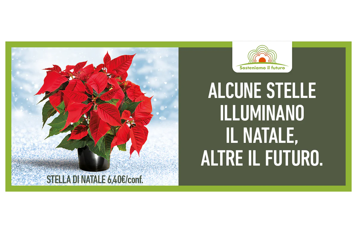 www.conad.it