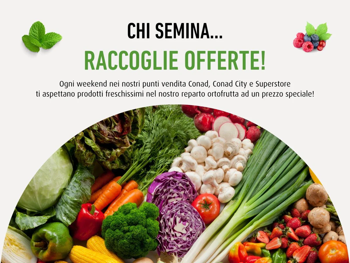 www.conad.it