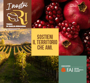 www.conad.it