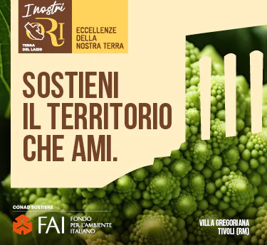 www.conad.it