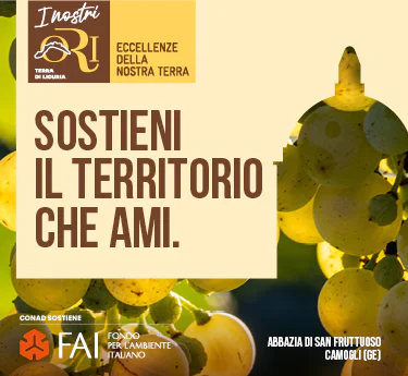 www.conad.it