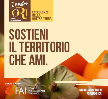 www.conad.it