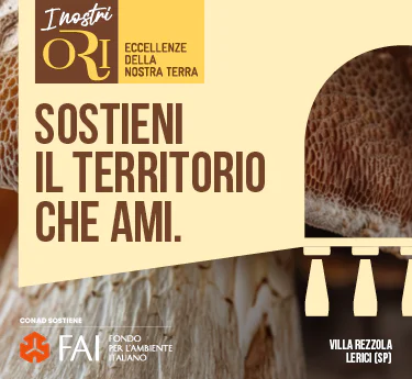 www.conad.it