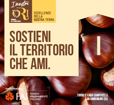 www.conad.it