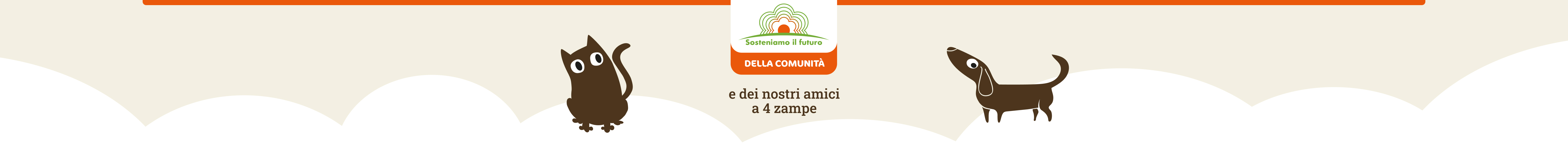 www.conad.it
