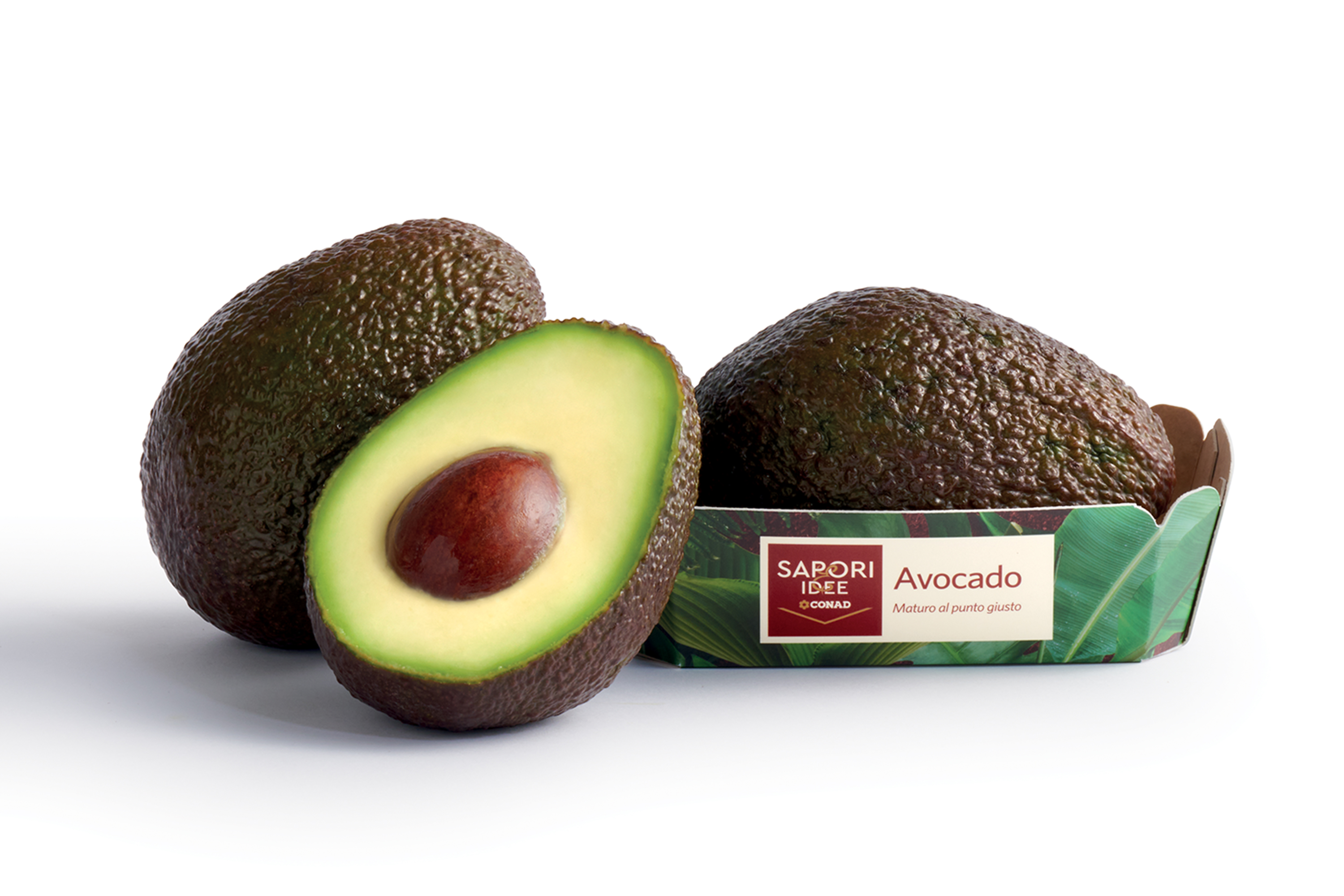 Avocado Sapori & Idee Conad