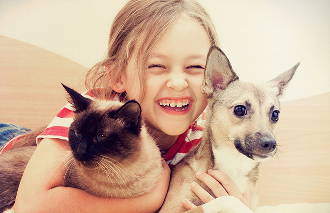 Immagine rappresentativa per prodotti Conad Petfriends