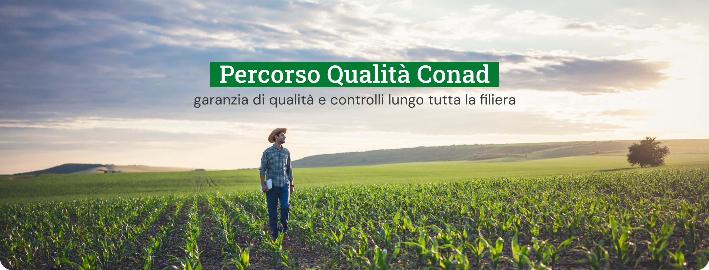 www.conad.it