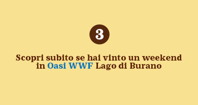 www.conad.it