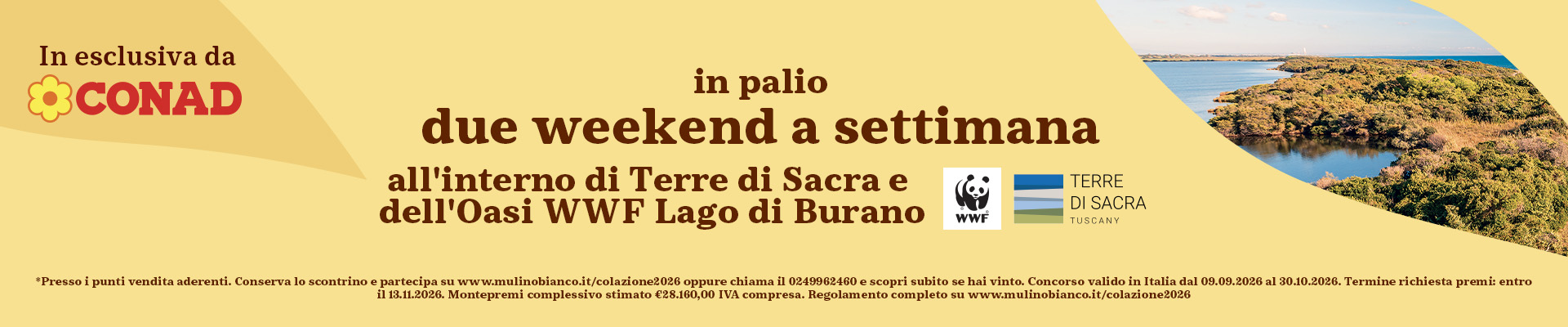 www.conad.it