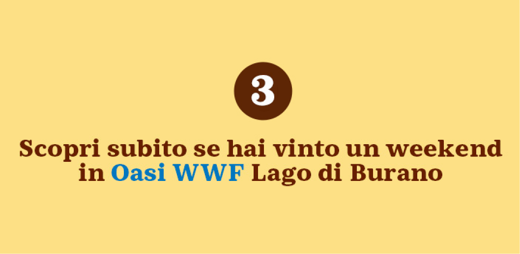 www.conad.it