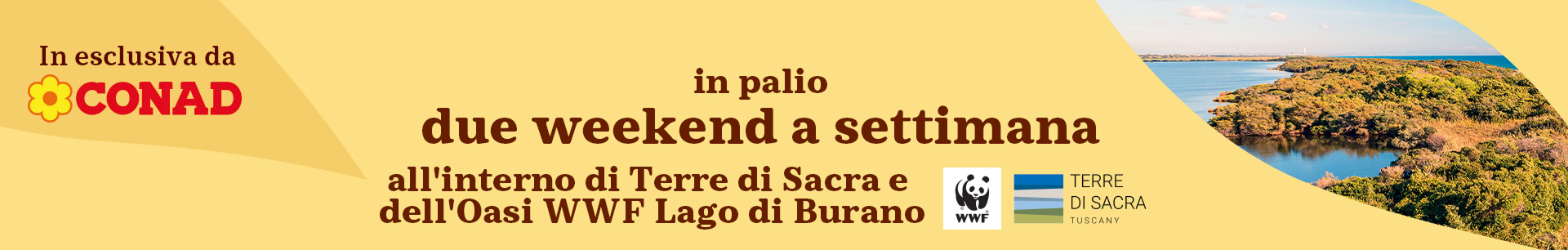 www.conad.it