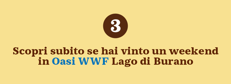 www.conad.it