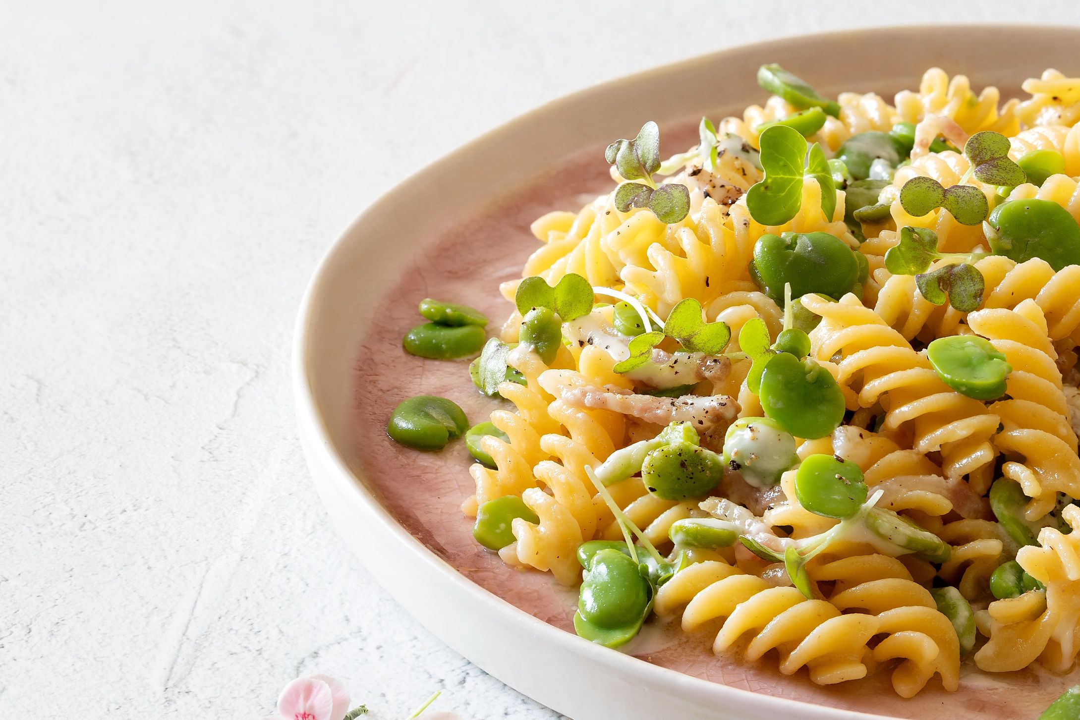 fusilli-con-fave-pecorino-e-guanciale-image