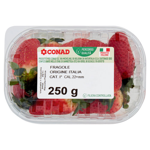 CONAD Percorso Qualità Fragole Italia Cal. 22+mm 250 g-image
