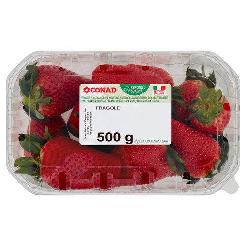 CONAD Percorso Qualità Fragole Italia Cal. 22+mm 500 g-image