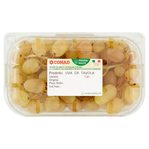 CONAD Percorso Qualità Uva da Tavola Pizzutella Italia 750 g-image