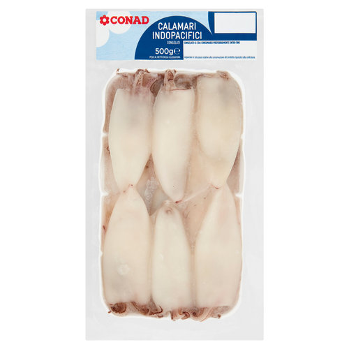 CONAD Calamari Indopacifici congelati 500 g-image