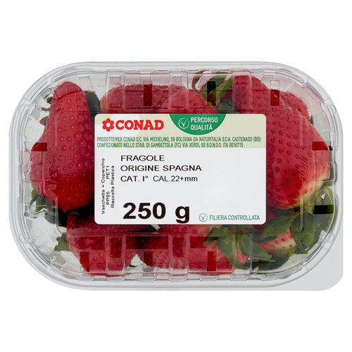 CONAD Percorso Qualità Fragole Spagna Cal. 22+mm 250 g-image