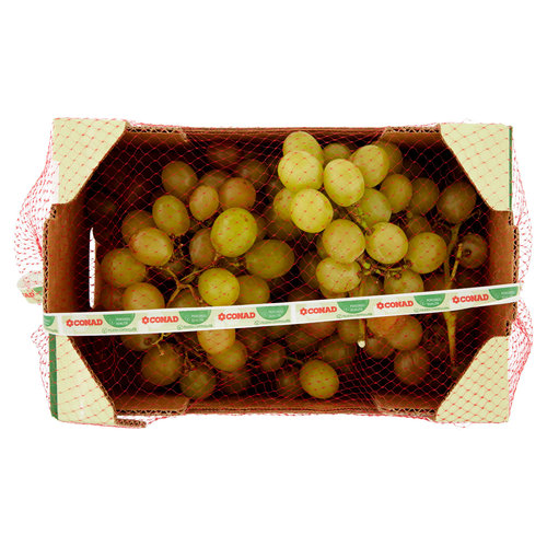 CONAD Percorso Qualità Uva da Tavola Italia Italia 2000 g-image