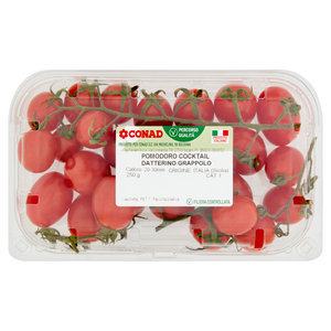 www.conad.it