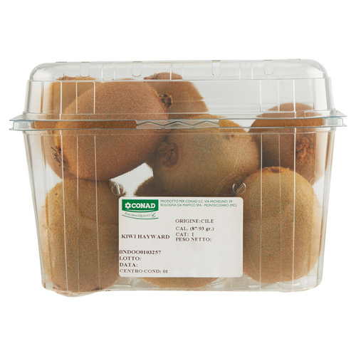 CONAD Percorso Qualità Kiwi Hayward Cile cal. 87/93gr 1 kg-image