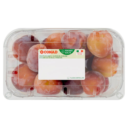 CONAD Percorso Qualità Susine S. Rosa Italia cal. 40/45 1 kg-image
