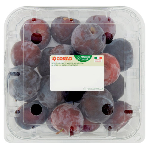 CONAD Percorso Qualità Susine Suplum Twentyeight Italia cal. 40/45 1 kg-image