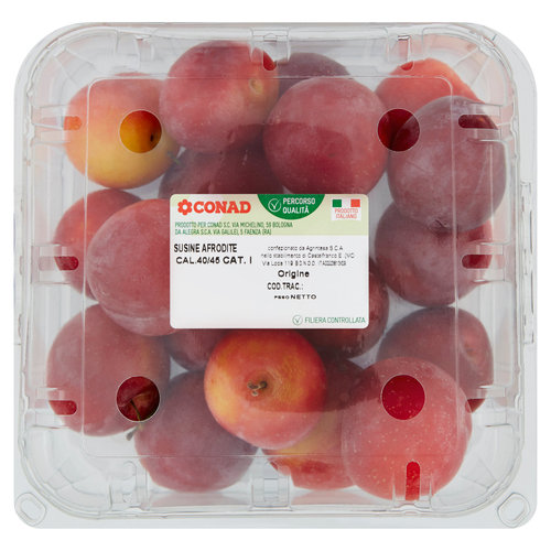 CONAD Percorso Qualità Susine Afrodite Italia cal. 40/45 1 kg-image