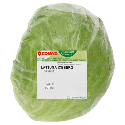 CONAD Percorso Qualità Lattuga Iceberg Olanda 400 g-image