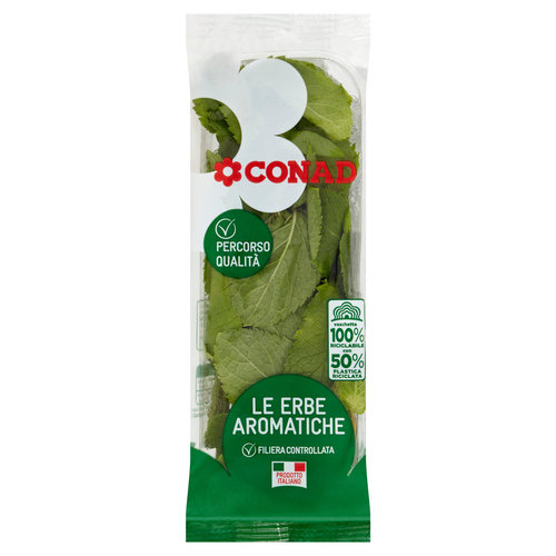 CONAD Percorso Qualità Le Erbe Aromatiche Menta 30 g-image