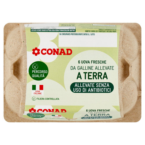 CONAD Percorso Qualità Allevate Senza Uso di Antibiotici 6 Uova Fresche da Galline Allevate a Terra-image