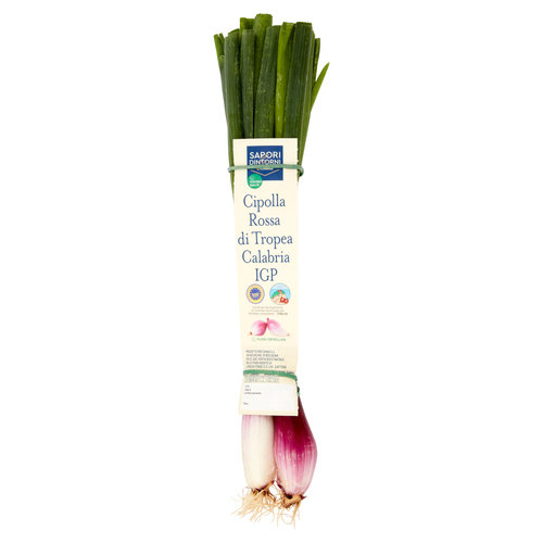 SAPORI & DINTORNI CONAD Percorso Qualità Cipolla Rossa di Tropea Calabria IGP Italia 250 g-image