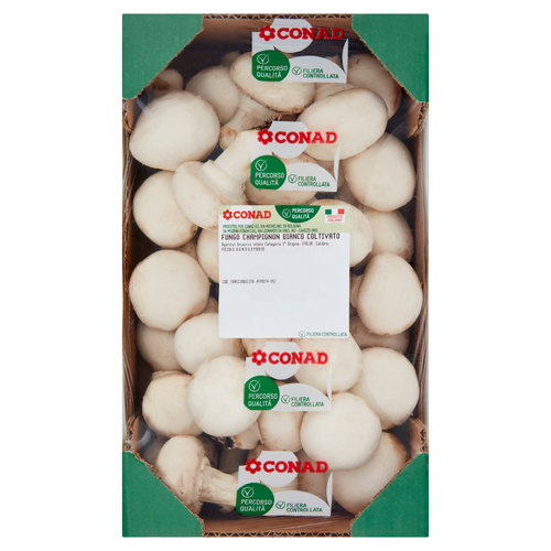 CONAD Percorso Qualità Funghi Champignon Bianco Coltivato Italia Cal: Piccolo 1,000 kg-image