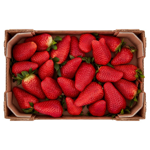 SAPORI & IDEE CONAD Percorso Qualità Fragole NSG 203 Italia Cal. 25+ mm 1000 g-image